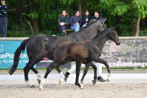 Bild-3848