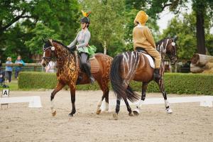 Bild-3959