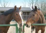 Bild-2682