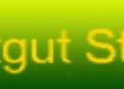 Bild-2808